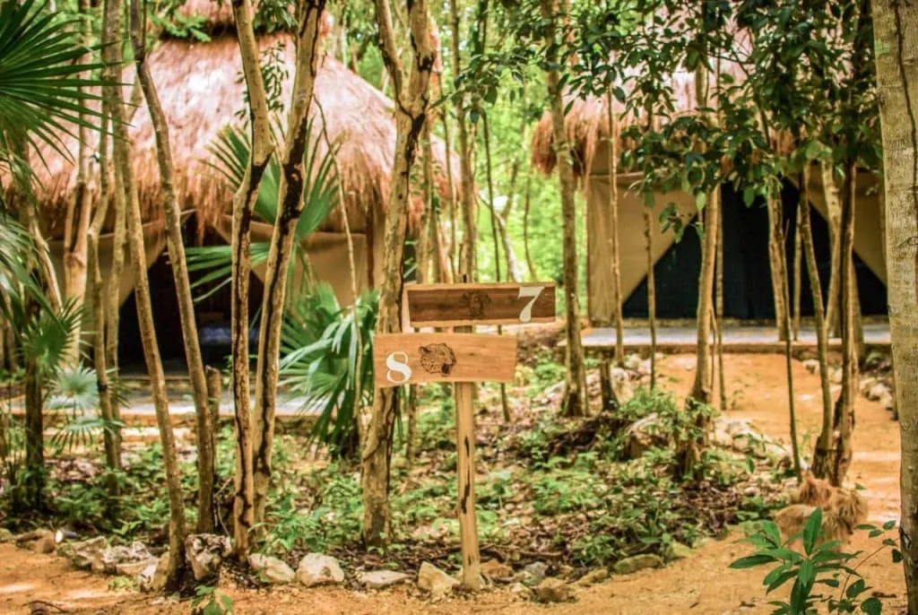 Rustic glamping cabin surrounded by Akumal jungle