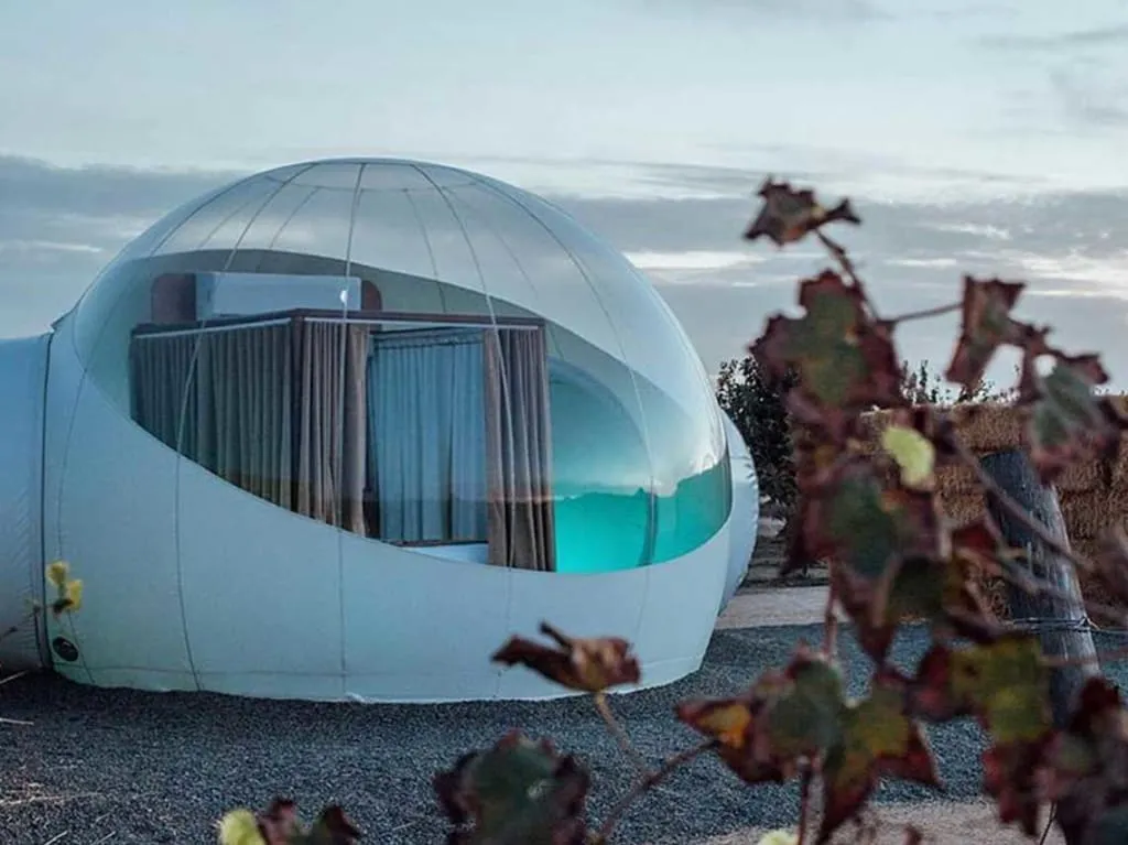 Clear bubble suite among Valle de Guadalupe vineyards