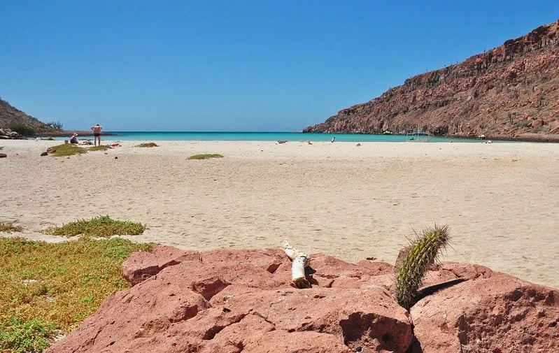 Beach camp beside turquoise water on Espiritu Santo Island