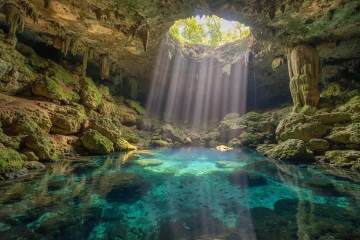 Gran Cenote Tulum: 2026 Price, Hours & Turtle Tips