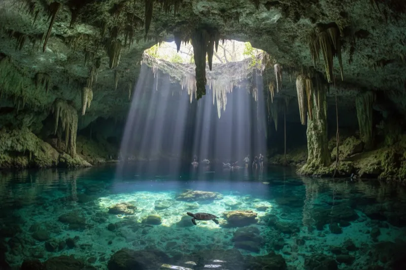 Gran Cenote near Tulum — crystal-clear turquoise water with stalactites hanging from the cave ceiling and freshwater turtles swimming below
