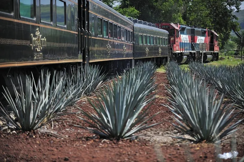 Blue agave fields and distillery route outside Guadalajara in Jalisco