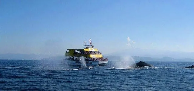 Fiesta boat cruising across Jaltemba Bay toward nearby Nayarit coves