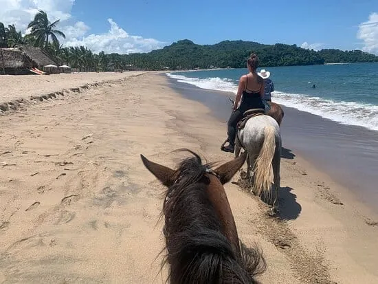 Horseback riding route near Lo de Marcos on the Nayarit coast