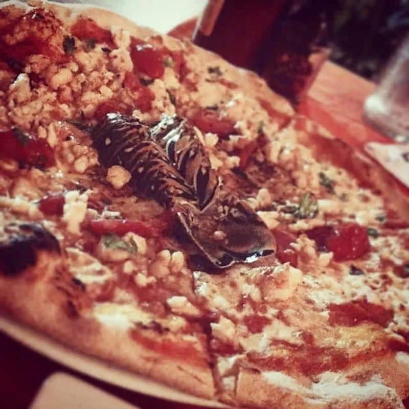 Holbox lobster pizza and seafood dinner during a November island stay