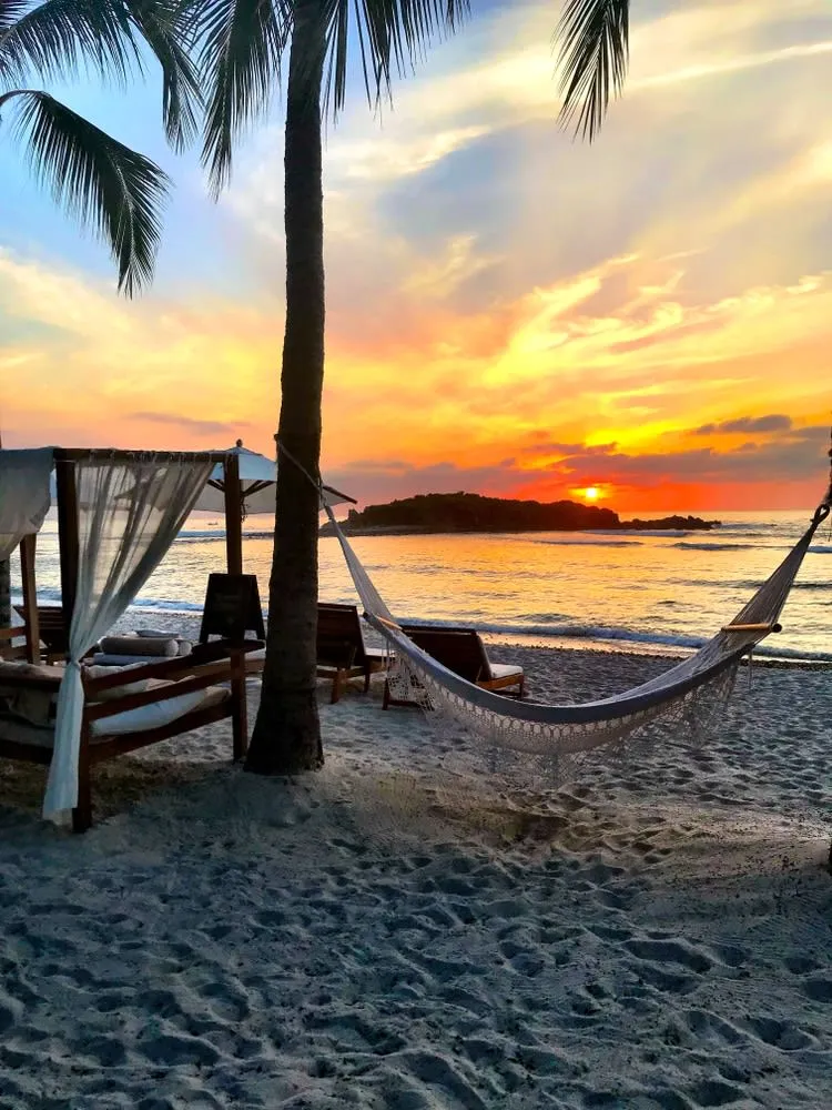 Punta Mita resort coast with palms and Pacific ocean views