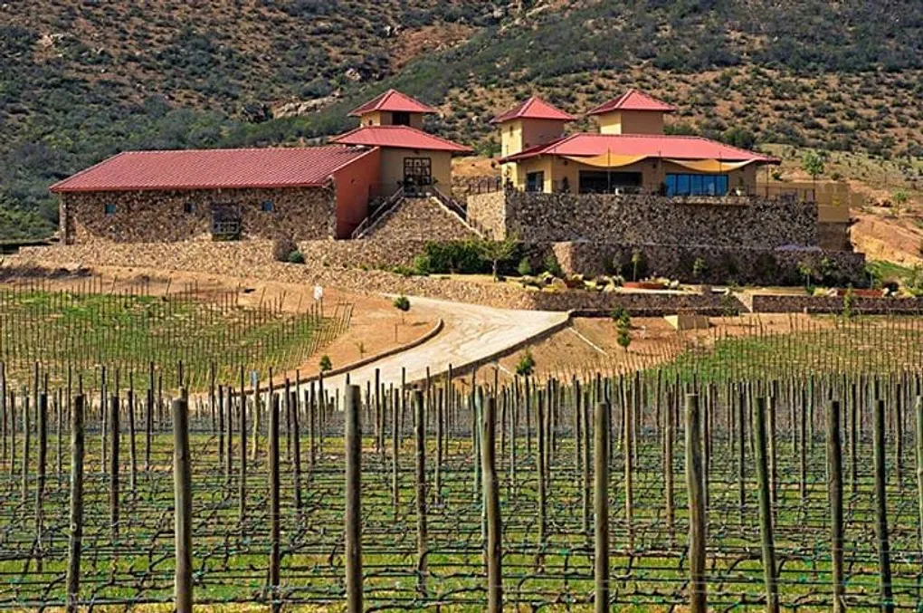 TOP 11 Hotels in Valle de Guadalupe, Baja California: Wine Country Bliss