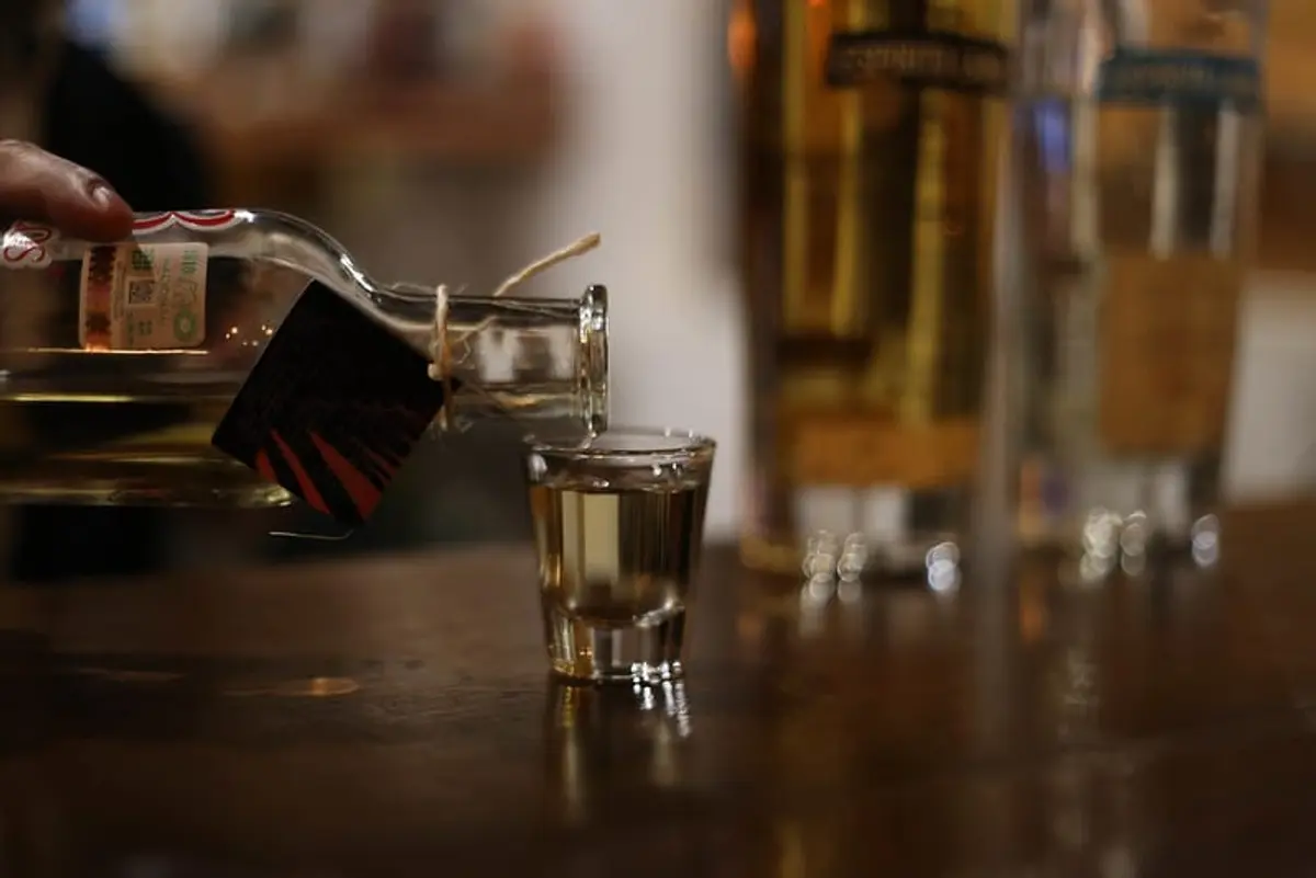 How to Drink Mezcal Like a Pro: A Guide to Impeccable Tasting