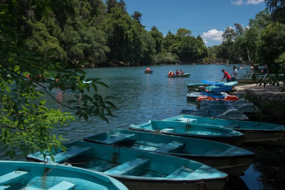 Trout pond and forest scenery at Bosque de las Truchas in Huasca de Ocampo
