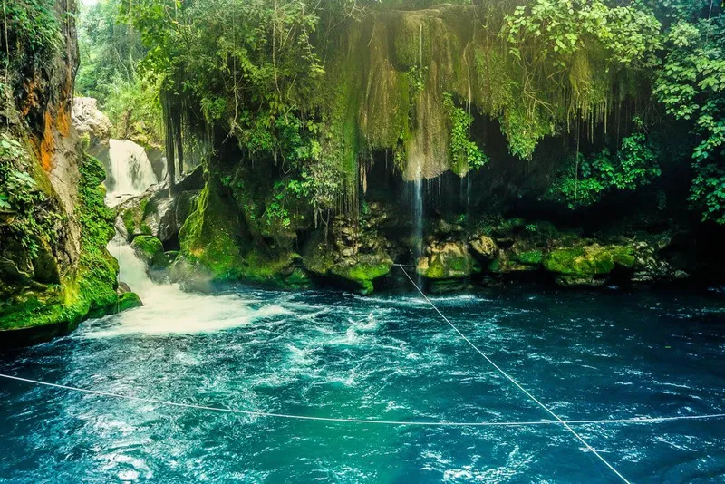 Sunlit Huasteca Potosina river and forest scenery at the end of the dry season
