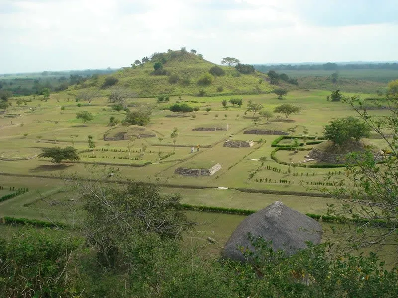 Tamtoc archaeological site clearing surrounded by palms and humid Huasteca vegetation