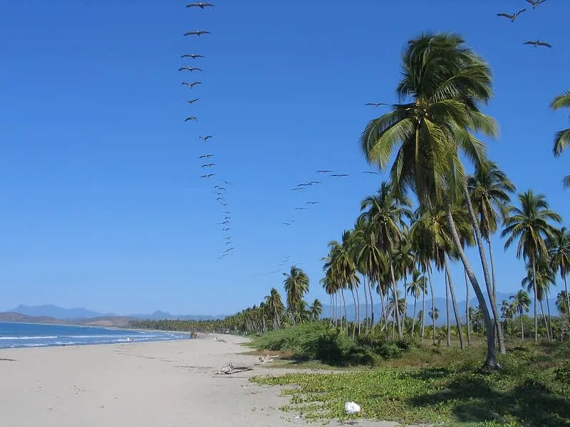 Playa Linda near Ixtapa in April with Pacific beach access, dry-season heat, and Isla Ixtapa day-trip logistics