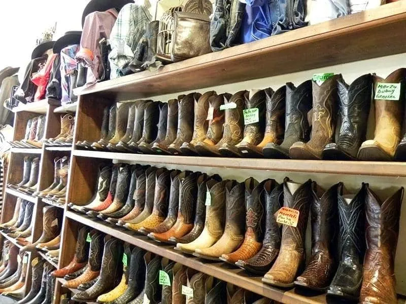 Leather goods in Leon in February with Zona Piel shopping and dry-season city planning