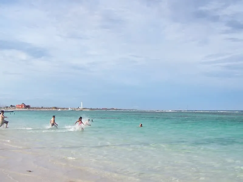 Calm shallow water and palm-lined sand in Mahahual