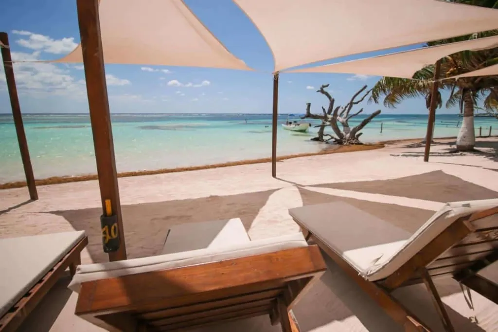 Beach loungers and umbrellas at Pez Quadro near 40 Cañones Hotel