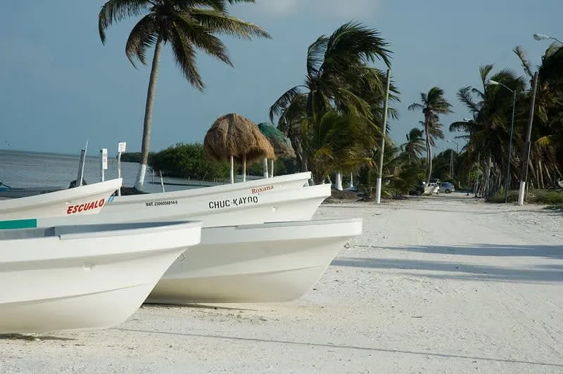 Quiet Xcalak shoreline south of Mahahual