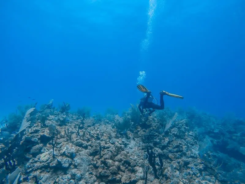 Divers preparing for a reef trip from Mahahual
