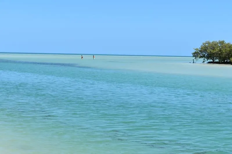 Palm-lined coast near Holbox reached from Nuevo Xcan station