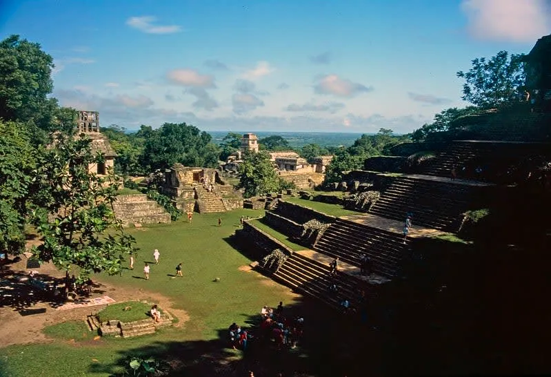 Palenque ruins surrounded by jungle near the Maya Train station