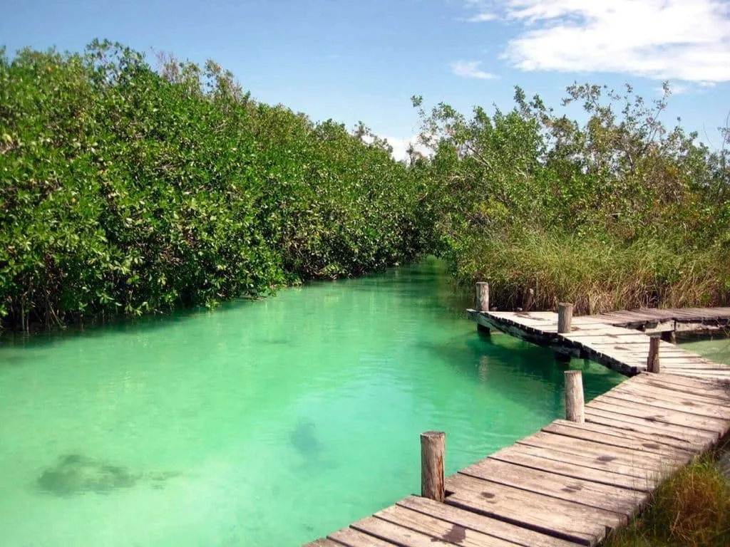 Wetlands and turquoise lagoons in Sian Kaan Biosphere Reserve