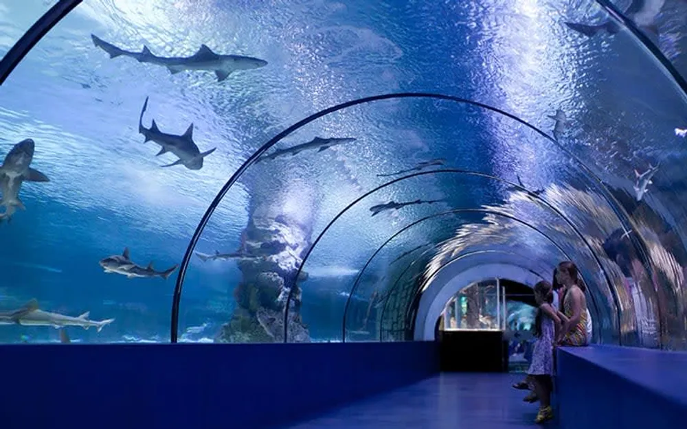 Mazatlan Aquarium exterior entrance with tropical gardens and marine exhibits