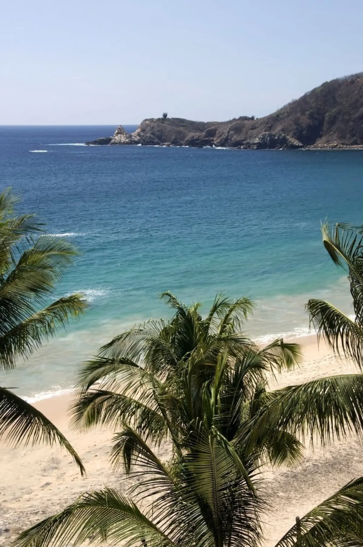 Mazunte in November: Weather, Turtles & Tips