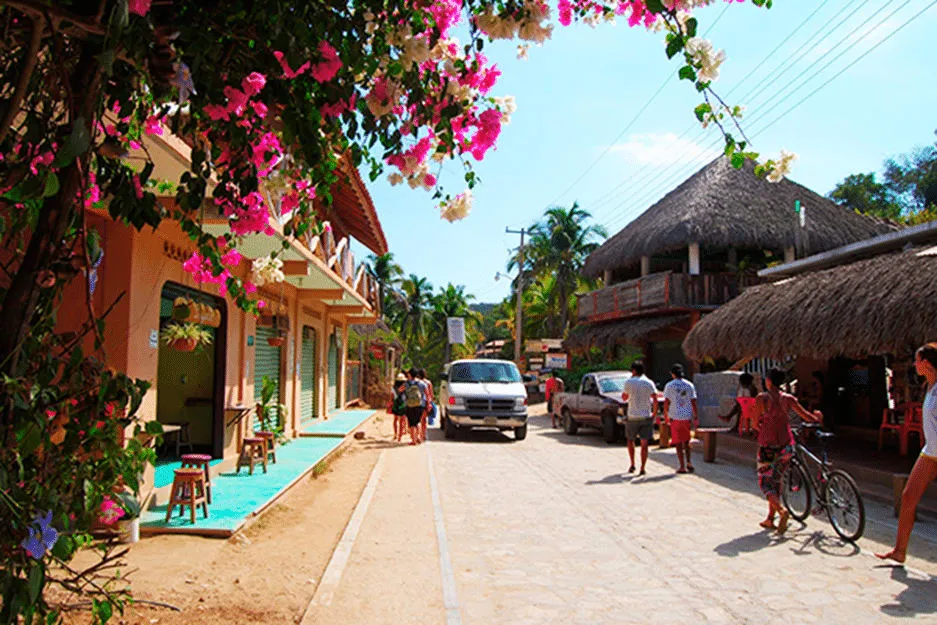 Low buildings and palm trees near Mazunte beach on the Oaxaca coast