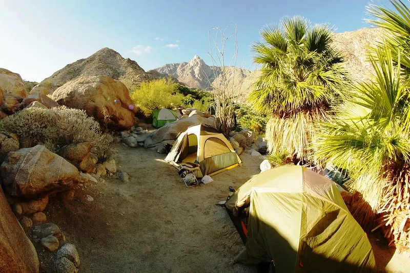 Rustic hot spring pools and desert canyon scenery at Guadalupe Canyon