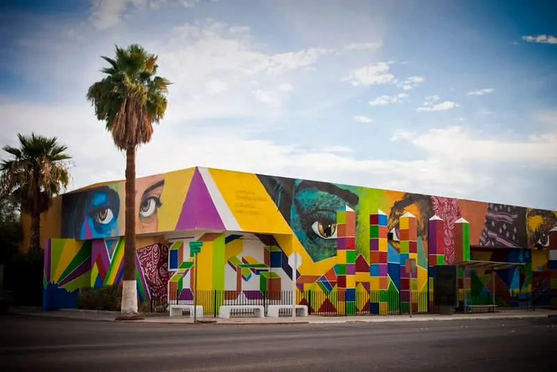 UABC museum galleries covering Baja California history and desert culture