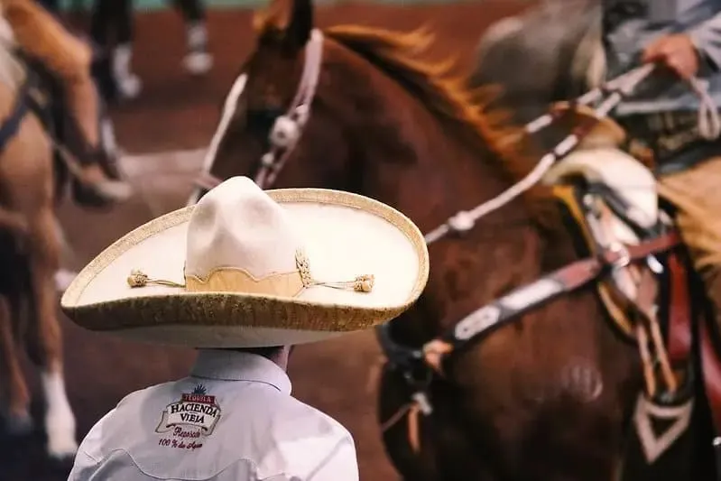 Embroidered Mexican charro hat with wide brim