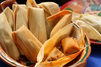 15 Must-Try Mexican Tamale Varieties: Unwrap the Magic