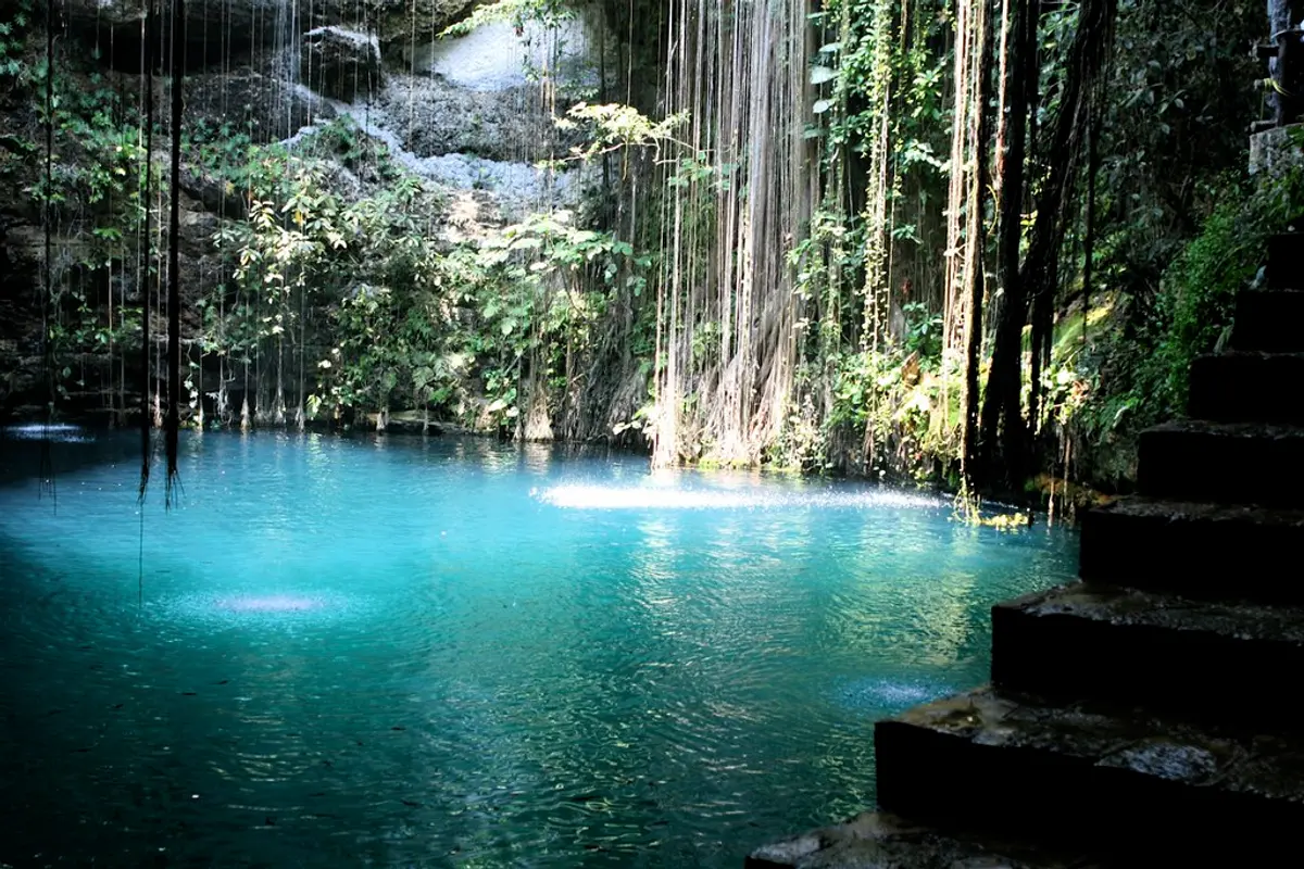 23 Best Cenotes in Mexico: Crystal Clear Adventures
