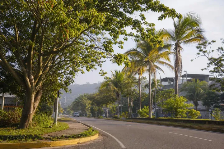 Minatitlan in January: Weather & Tips