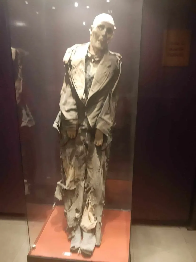 Preserved clothed figure displayed inside a glass museum case