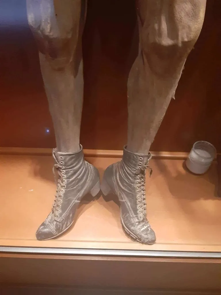 Close-up of preserved legs wearing lace-up boots in a museum case