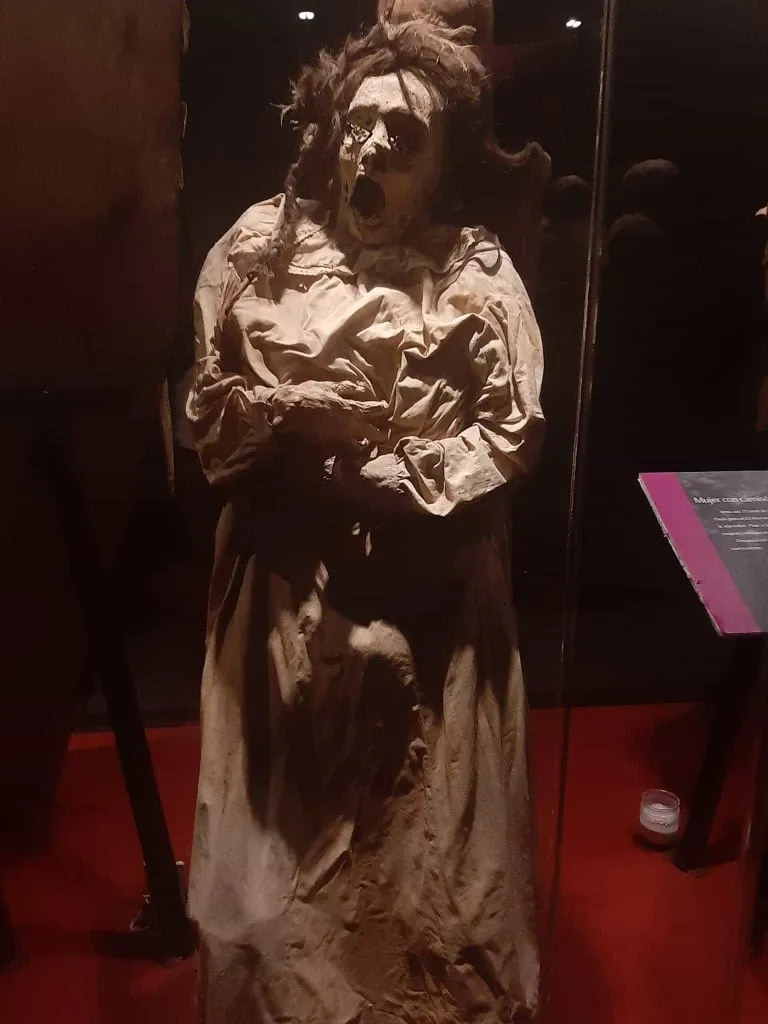 Preserved robed figure displayed in a dim museum exhibit