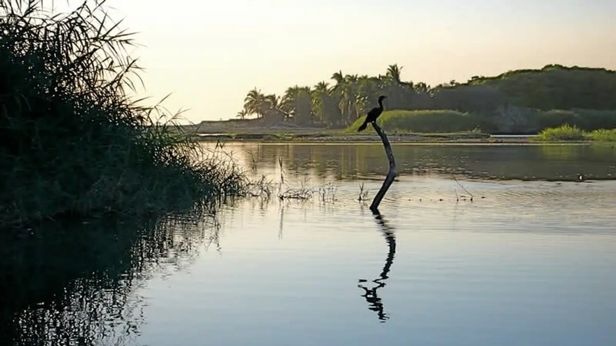 Things to Do in Puerto Escondido 2026: 25 Best Activities, Beaches & Day Trips