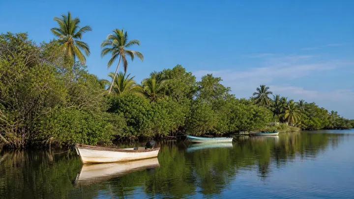 Paraíso in March: Weather & Travel Tips