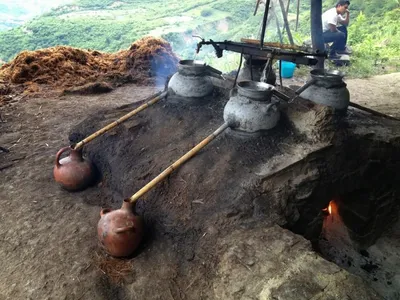 Savoring the Art of Pechuga Mezcal: A Journey Through Its Making