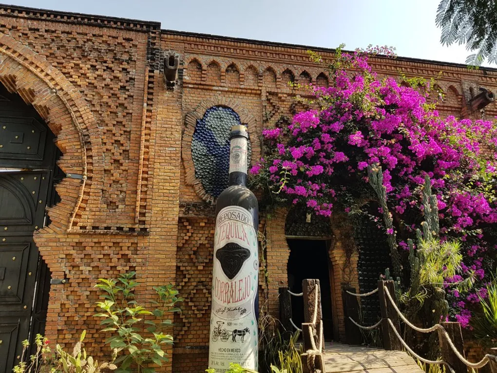 Penjamo’s Tequila Trail: Exploring the Heart of Tequila Corralejo