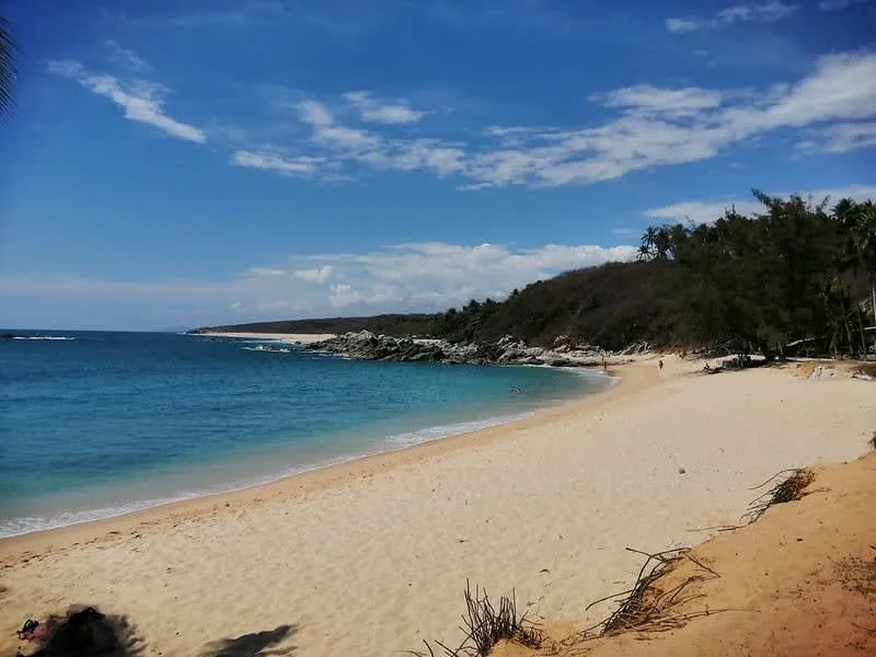 Quiet Coral Beach shoreline with pale sand and clear water