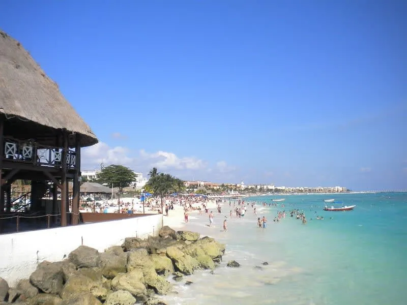 Palm-lined beach in Playa del Carmen with turquoise water and small waves on the shore