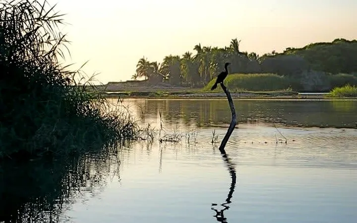 Puerto Escondido in August 2026: Bio, Turtles and Surf