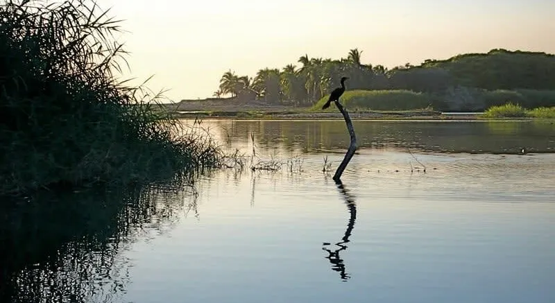 Laguna Manialtepec near Puerto Escondido at the start of June bioluminescence season