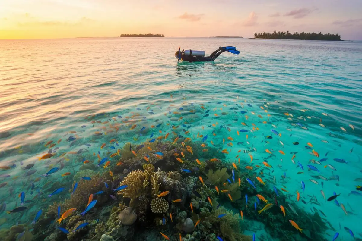 Puerto Morelos in March: Weather, Reef & Tips