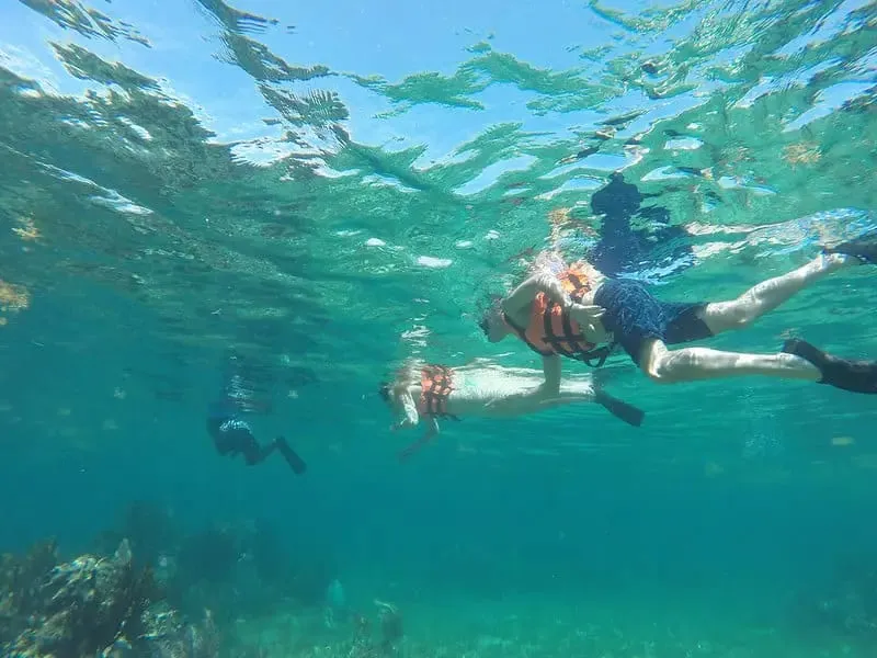 Puerto Morelos reef snorkeling in December with dry-season visibility and morning tour planning