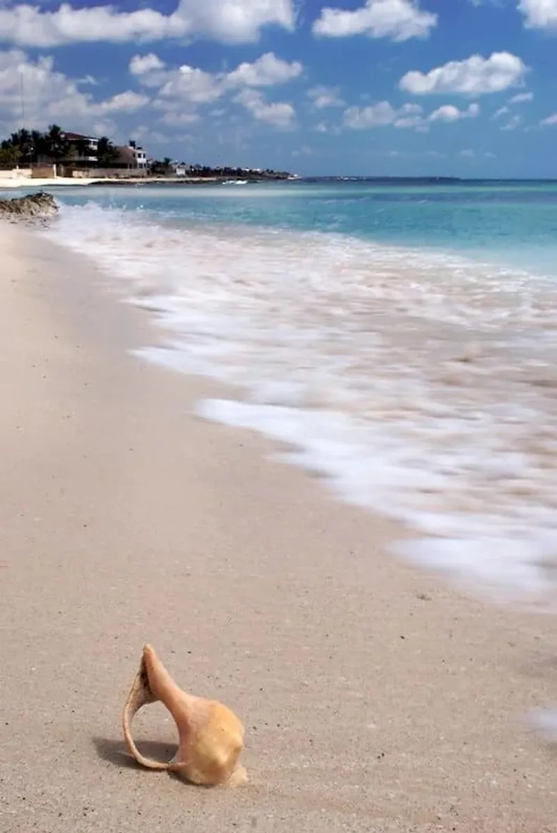 Puerto Morelos beach in December with low sargassum risk and reef-protected Caribbean water