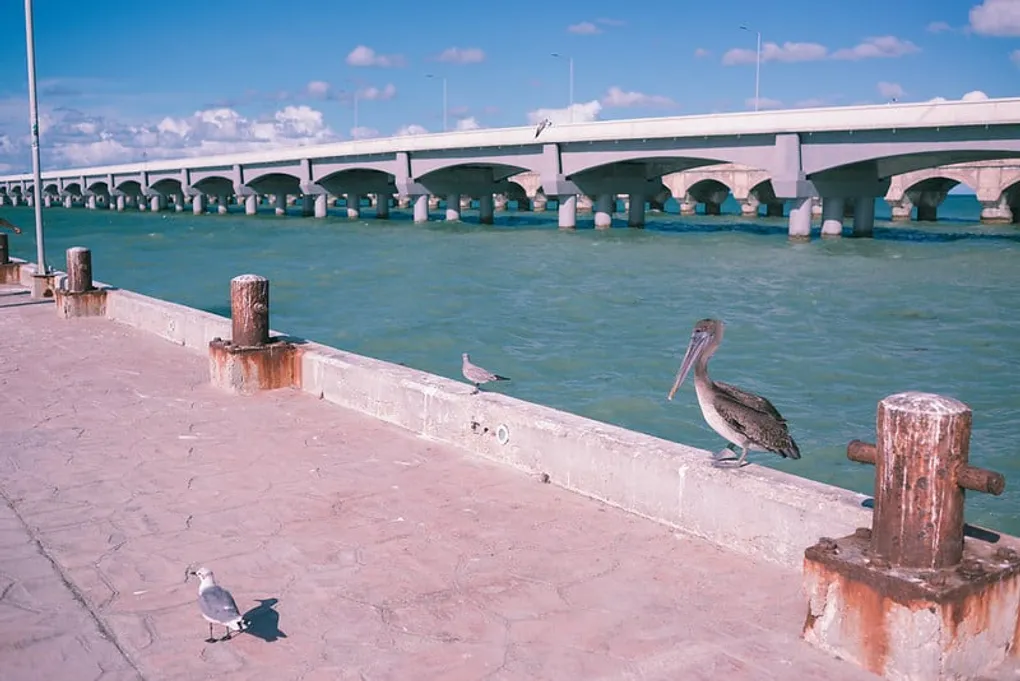 Puerto Progreso Yucatan: Where Sandy Shores Meet Gulf Glory