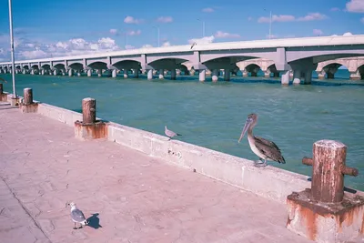 Puerto Progreso Yucatan: Where Sandy Shores Meet Gulf Glory