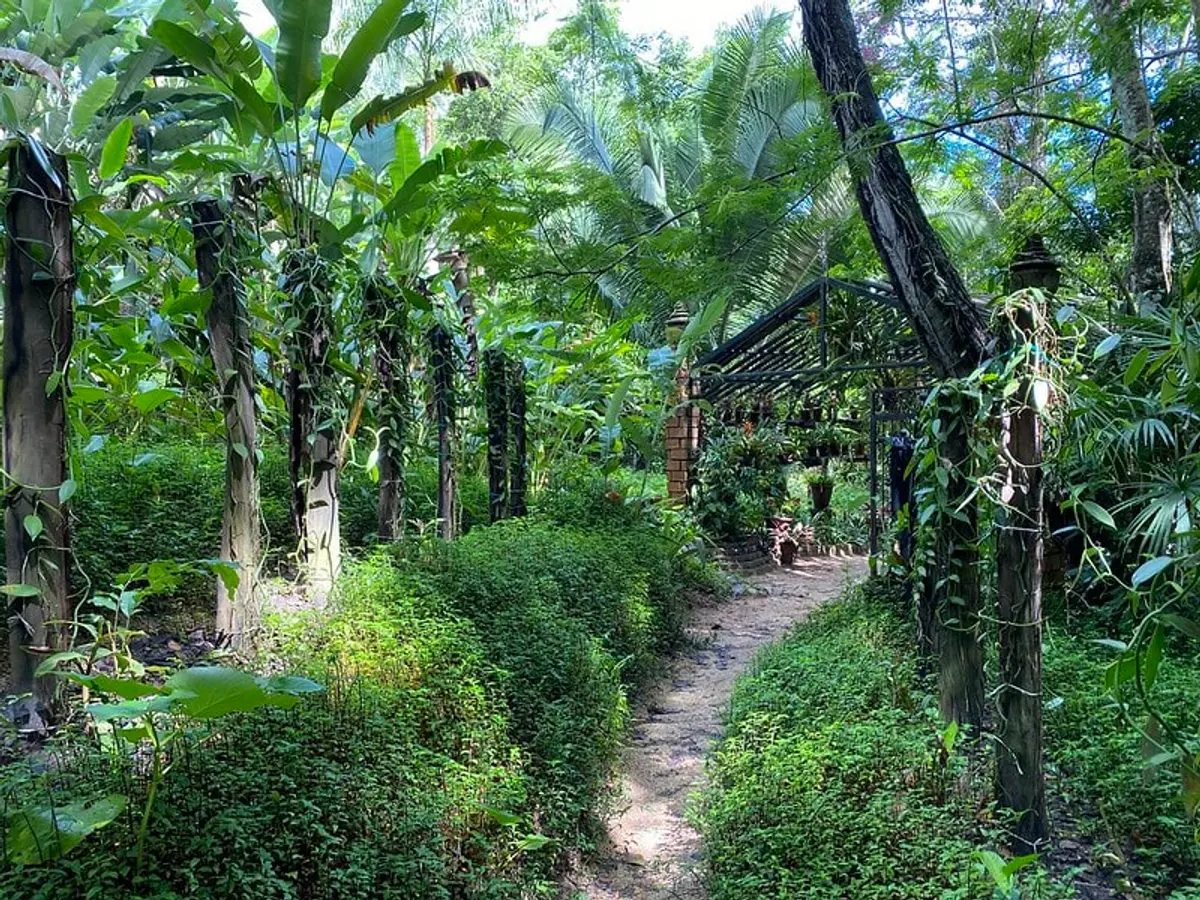 Things to Do in Puerto Vallarta: 25 Best Activities